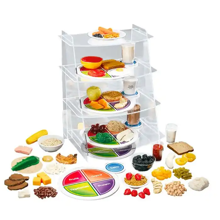 American 3B Scientific My Complete Plate Kit Special Discount